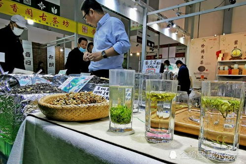 第7届中国 大连 国际茶产业博览会开幕